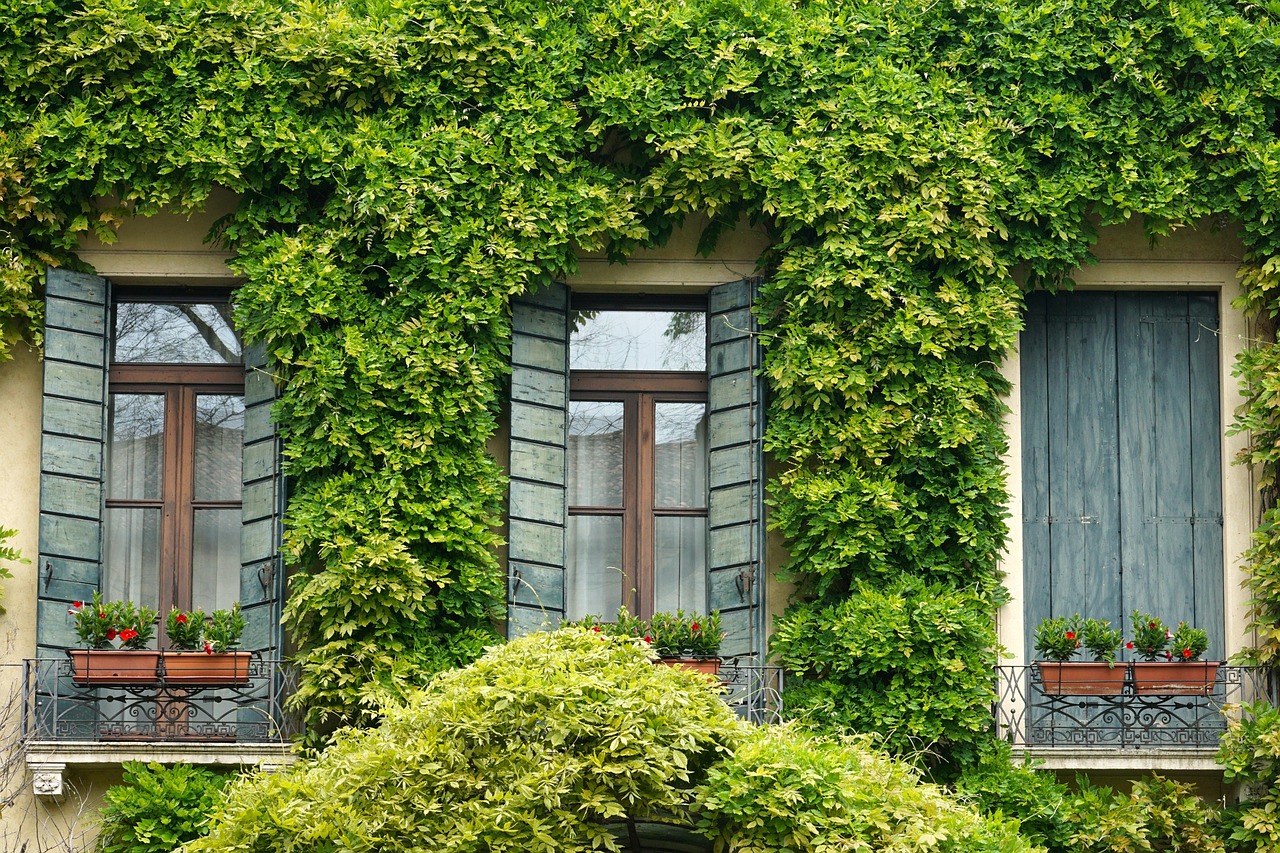 Stijlvolle potten met lenteplanten. Stijlvolle potten met lenteplanten.