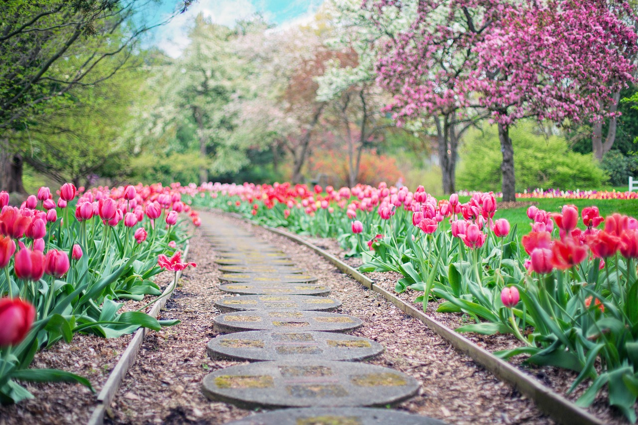 Slimme tuinpad met sensoren en planten.