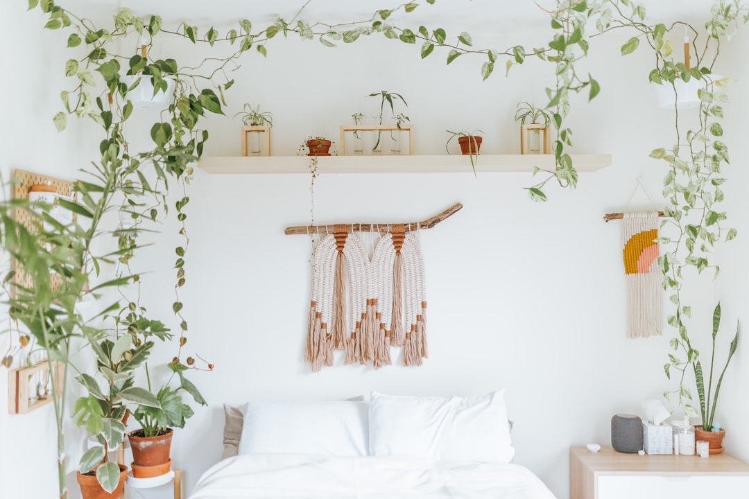 Macramé hangers met planten in boho-chic stijl. Macramé hangers met planten in boho-chic stijl.